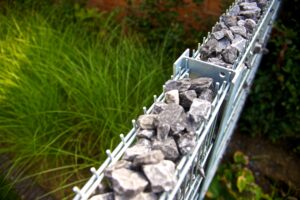 Steenhaag met blauwgrijze breukkei